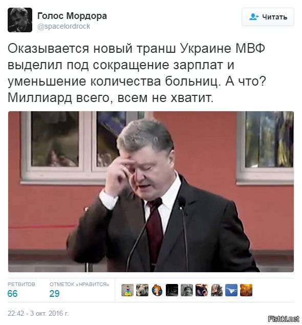 "Мыздобулы" в картинках. Смешных и не очень... 4-10-2016