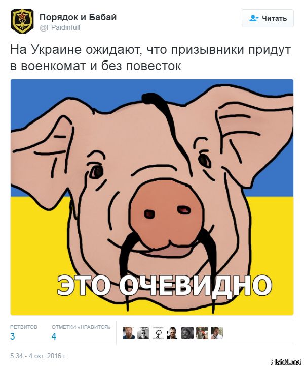 "Мыздобулы" в картинках. Смешных и не очень... 4-10-2016