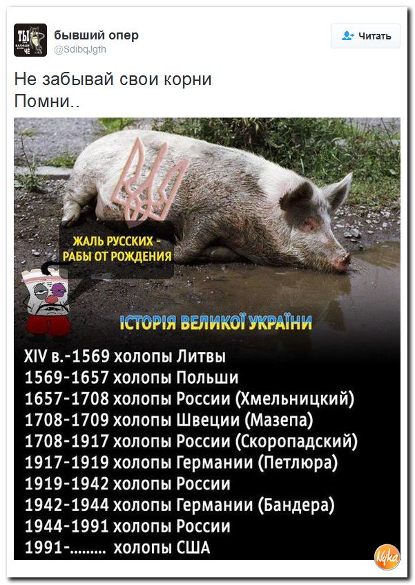 "Мыздобулы" в картинках. Смешных и не очень... 4-10-2016
