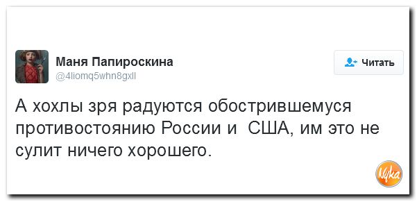 "Мыздобулы" в картинках. Смешных и не очень... 4-10-2016