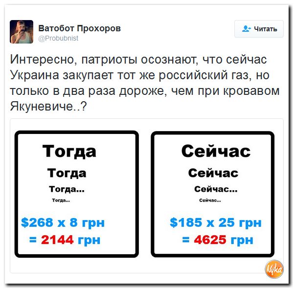 "Мыздобулы" в картинках. Смешных и не очень... 4-10-2016