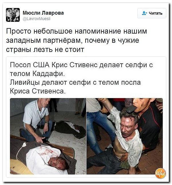 "Мыздобулы" в картинках. Смешных и не очень... 4-10-2016