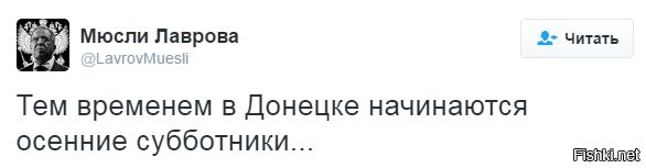 "Мыздобулы" в картинках. Смешных и не очень... 4-10-2016