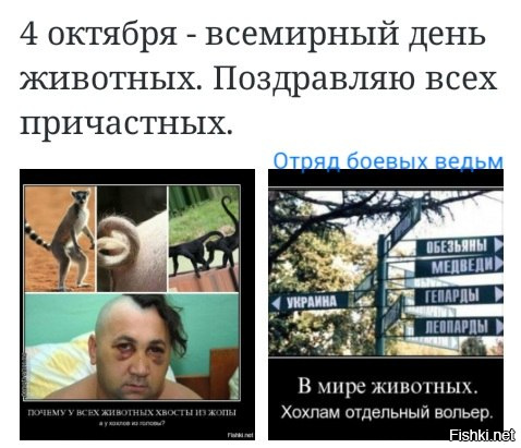 "Мыздобулы" в картинках. Смешных и не очень... 4-10-2016