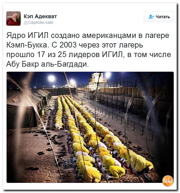 "Мыздобулы" в картинках. Смешных и не очень... 4-10-2016