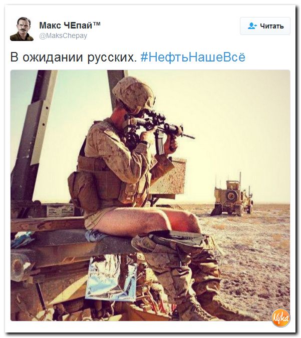 "Мыздобулы" в картинках. Смешных и не очень... 4-10-2016