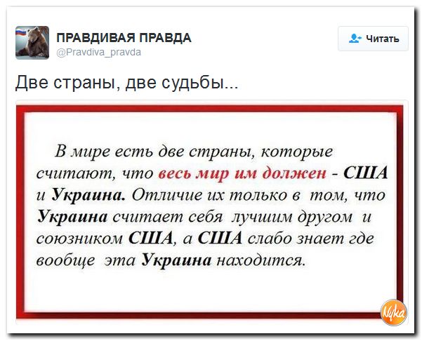 "Мыздобулы" в картинках. Смешных и не очень... 4-10-2016