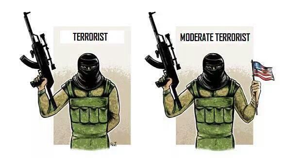 Почему американцы могут разделить "умеренную" и "неумеренную" оппозицию, а другие нет