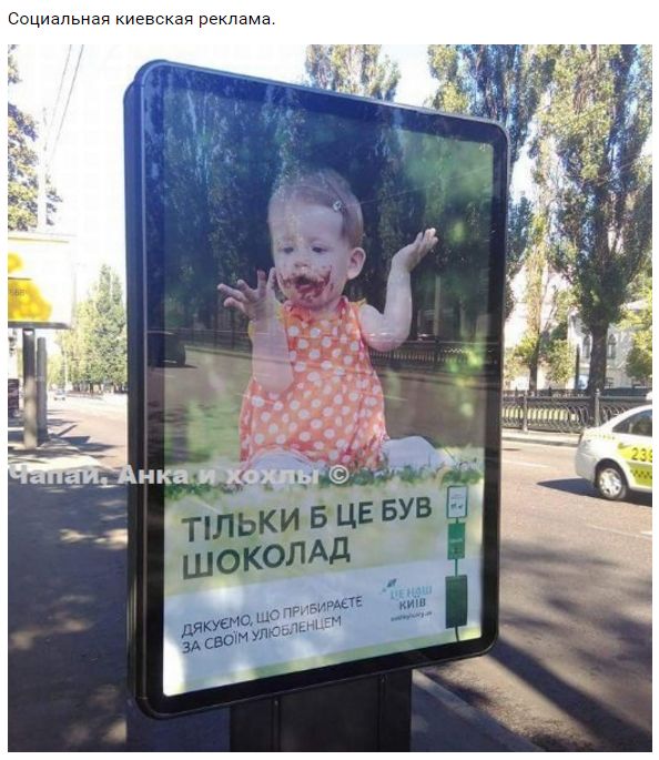 "Мыздобулы" в картинках. Смешных и не очень... 5-10-2016 "Мыздобулы" в картинках. Смешных и не очень... 5-10-2016