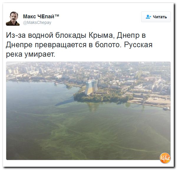 "Мыздобулы" в картинках. Смешных и не очень... 5-10-2016 "Мыздобулы" в картинках. Смешных и не очень... 5-10-2016