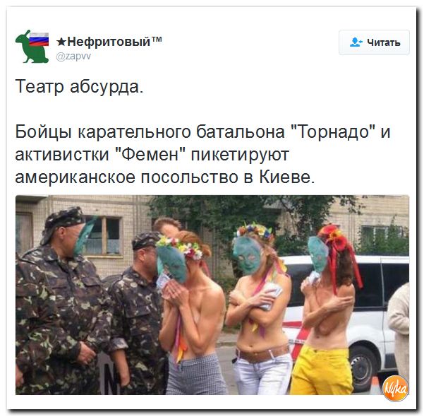 "Мыздобулы" в картинках. Смешных и не очень... 5-10-2016 "Мыздобулы" в картинках. Смешных и не очень... 5-10-2016