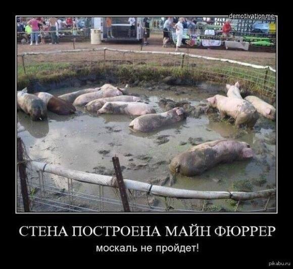 "Мыздобулы" в картинках. Смешных и не очень... 5-10-2016 "Мыздобулы" в картинках. Смешных и не очень... 5-10-2016