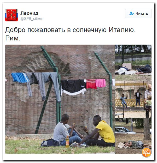 "Мыздобулы" в картинках. Смешных и не очень... 6-10-2016 "Мыздобулы" в картинках. Смешных и не очень... 6-10-2016