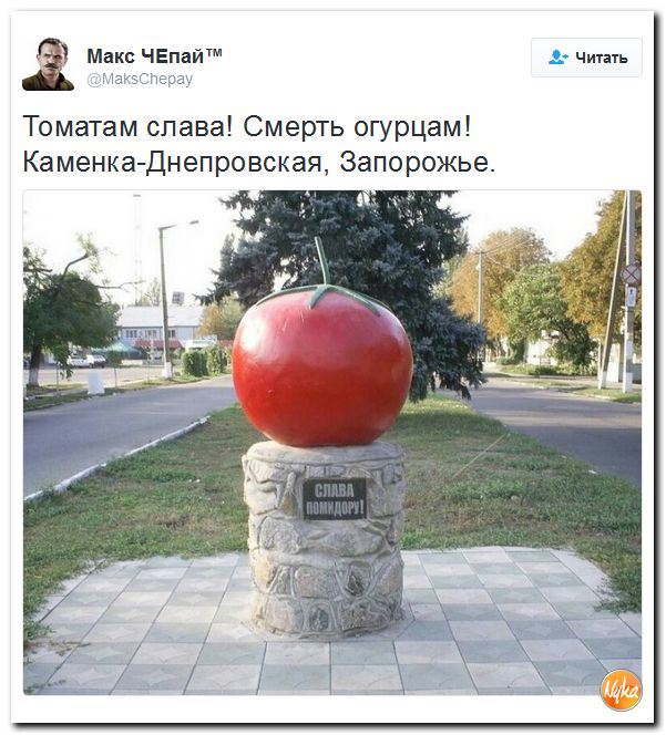 "Мыздобулы" в картинках. Смешных и не очень... 6-10-2016 "Мыздобулы" в картинках. Смешных и не очень... 6-10-2016