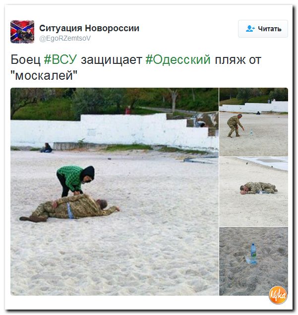 "Мыздобулы" в картинках. Смешных и не очень... 6-10-2016 "Мыздобулы" в картинках. Смешных и не очень... 6-10-2016