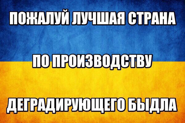 "Мыздобулы" в картинках. Смешных и не очень... 8-10-2016