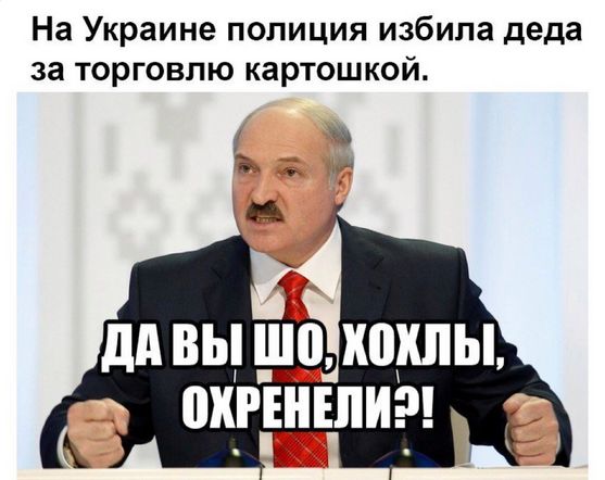 "Мыздобулы" в картинках. Смешных и не очень... 8-10-2016