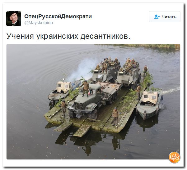 "Мыздобулы" в картинках. Смешных и не очень... 8-10-2016
