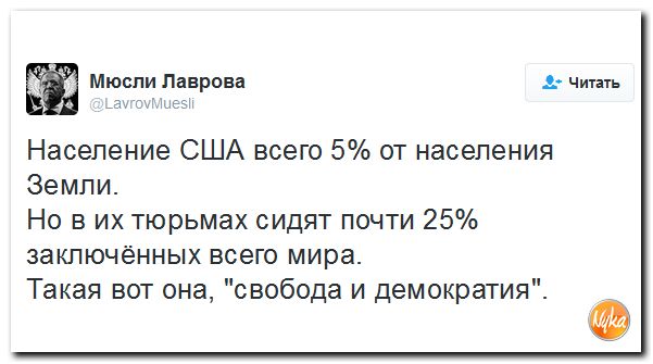 "Мыздобулы" в картинках. Смешных и не очень... 8-10-2016