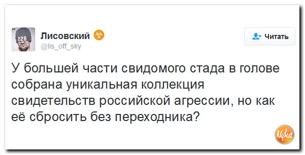 "Мыздобулы" в картинках. Смешных и не очень... 8-10-2016