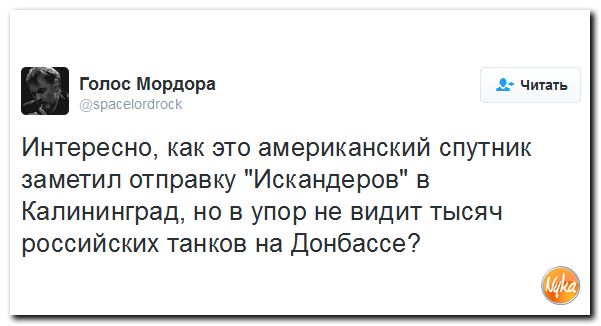 "Мыздобулы" в картинках. Смешных и не очень... 9-10-2016