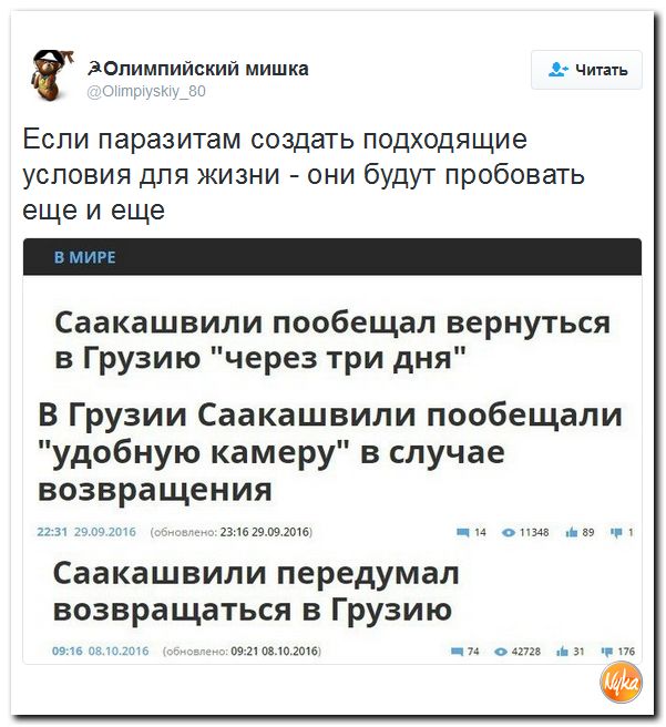 "Мыздобулы" в картинках. Смешных и не очень... 9-10-2016