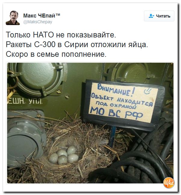"Мыздобулы" в картинках. Смешных и не очень... 9-10-2016