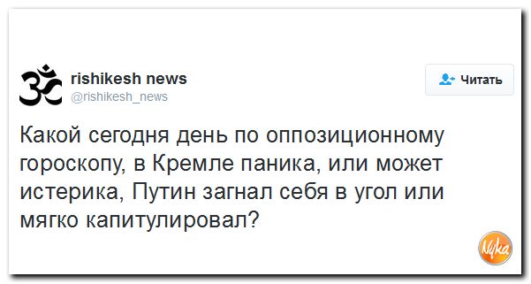 "Мыздобулы" в картинках. Смешных и не очень... 9-10-2016