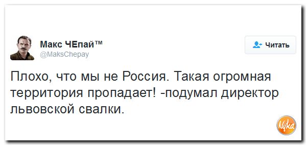 "Мыздобулы" в картинках. Смешных и не очень... 9-10-2016