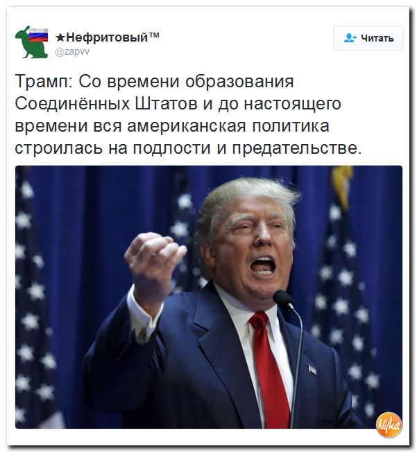 "Мыздобулы" в картинках. Смешных и не очень... 9-10-2016
