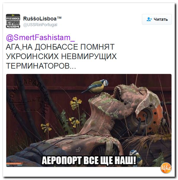 "Мыздобулы" в картинках. Смешных и не очень... 9-10-2016