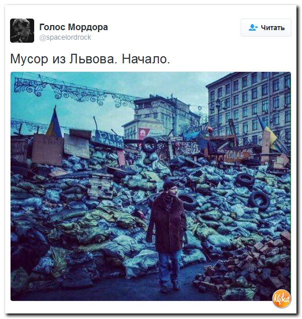 "Мыздобулы" в картинках. Смешных и не очень... 9-10-2016