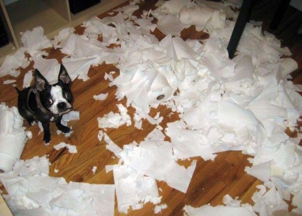 Про тузиков, рвущих Россию, как грелку...