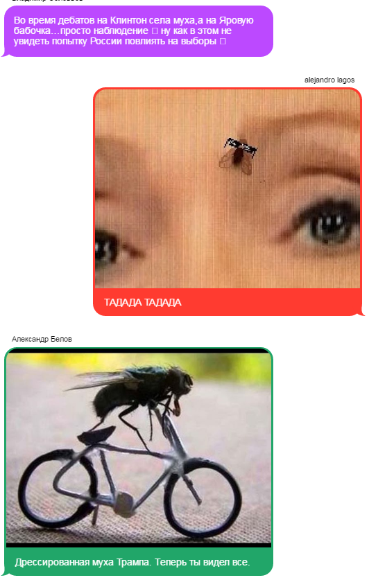 В "Твиттере" муху Клинтон разоблачили как шпиона-агента Кремля. Как соцсети отреагировали на муху В "Твиттере" муху Клинтон разоблачили как шпиона-агента Кремля. Как соцсети отреагировали на муху
