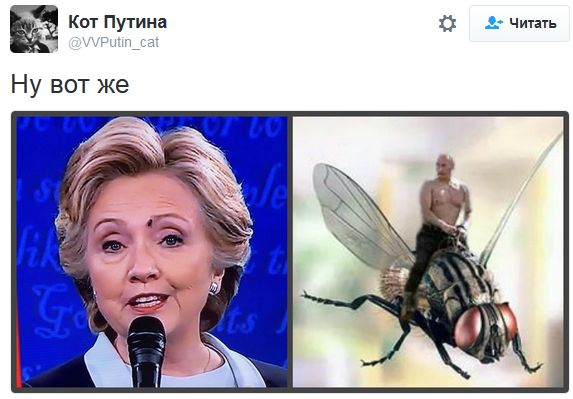 "Мыздобулы" в картинках. Смешных и не очень... 11-10-2016