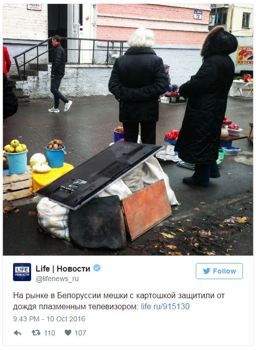 "Мыздобулы" в картинках. Смешных и не очень... 11-10-2016