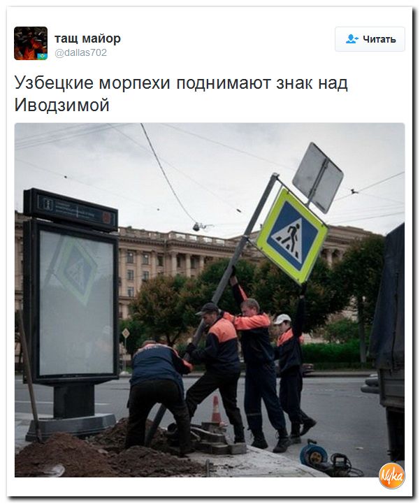 "Мыздобулы" в картинках. Смешных и не очень... 11-10-2016