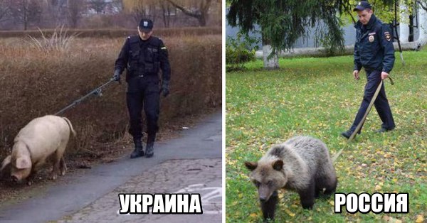 "Мыздобулы" в картинках. Смешных и не очень... 11-10-2016