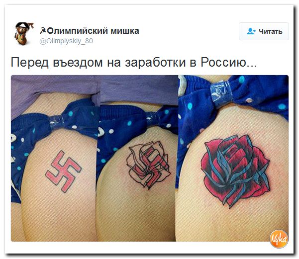 "Мыздобулы" в картинках. Смешных и не очень... 11-10-2016