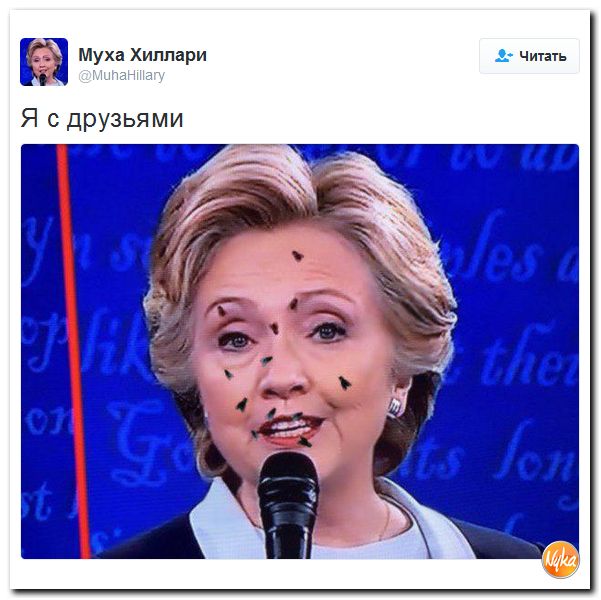 "Мыздобулы" в картинках. Смешных и не очень... 11-10-2016