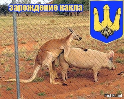 "Мыздобулы" в картинках. Смешных и не очень... 11-10-2016