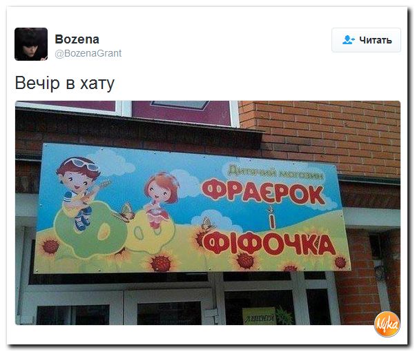 "Мыздобулы" в картинках. Смешных и не очень... 12-10-2016