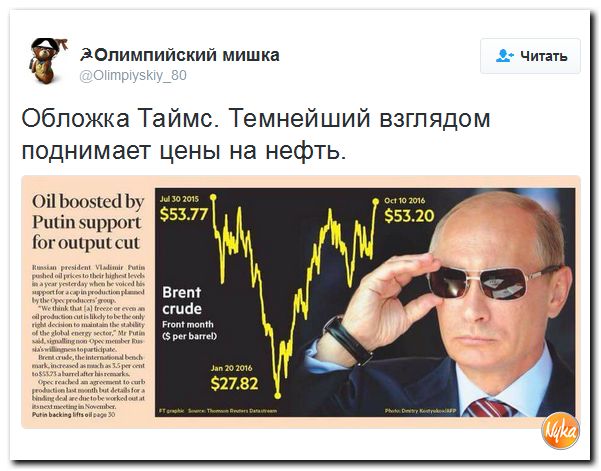 "Мыздобулы" в картинках. Смешных и не очень... 12-10-2016