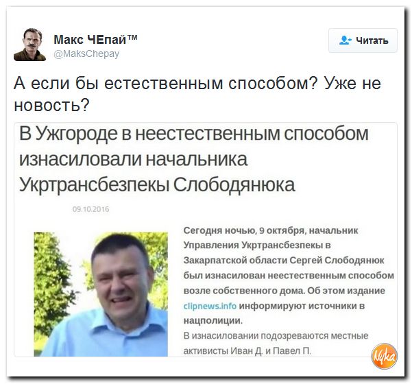 "Мыздобулы" в картинках. Смешных и не очень... 12-10-2016