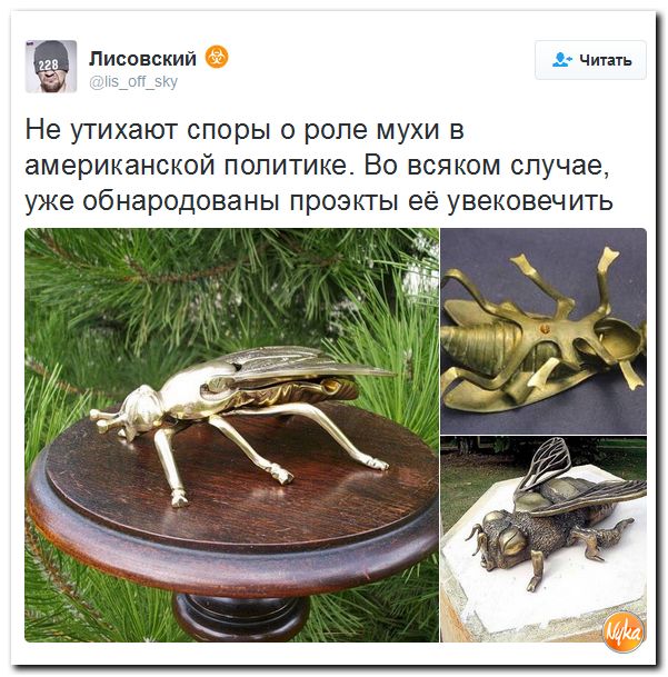 "Мыздобулы" в картинках. Смешных и не очень... 13-10-2016