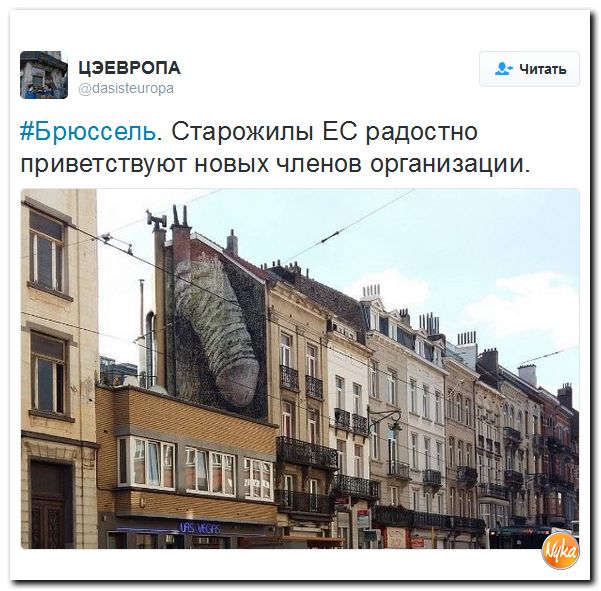 "Мыздобулы" в картинках. Смешных и не очень... 13-10-2016