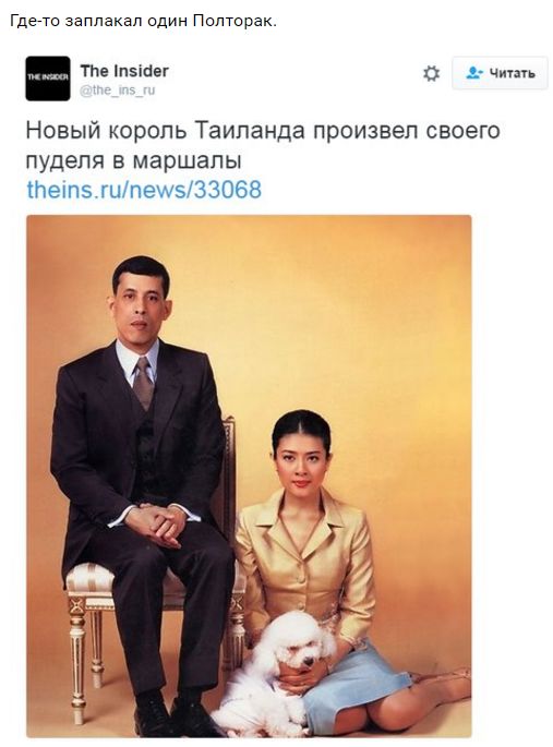 "Мыздобулы" в картинках. Смешных и не очень... 13-10-2016