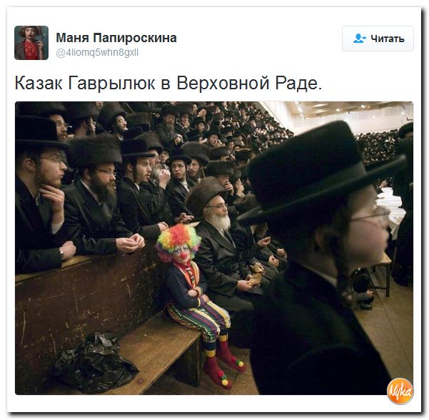 "Мыздобулы" в картинках. Смешных и не очень... 13-10-2016