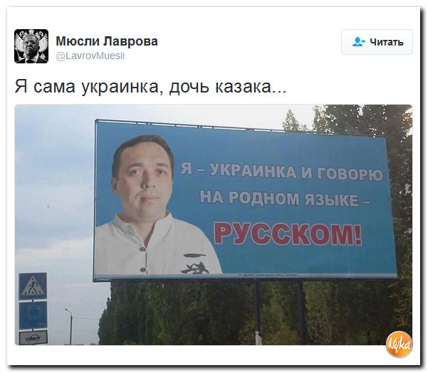 "Мыздобулы" в картинках. Смешных и не очень... 13-10-2016