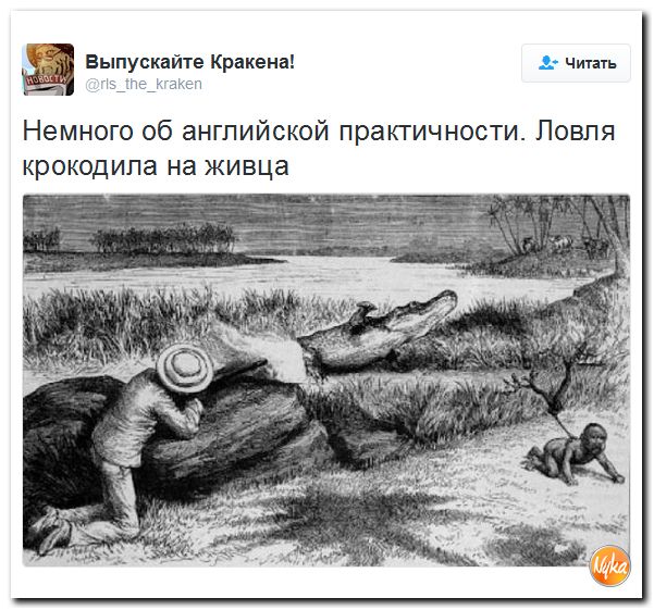 "Мыздобулы" в картинках. Смешных и не очень... 13-10-2016